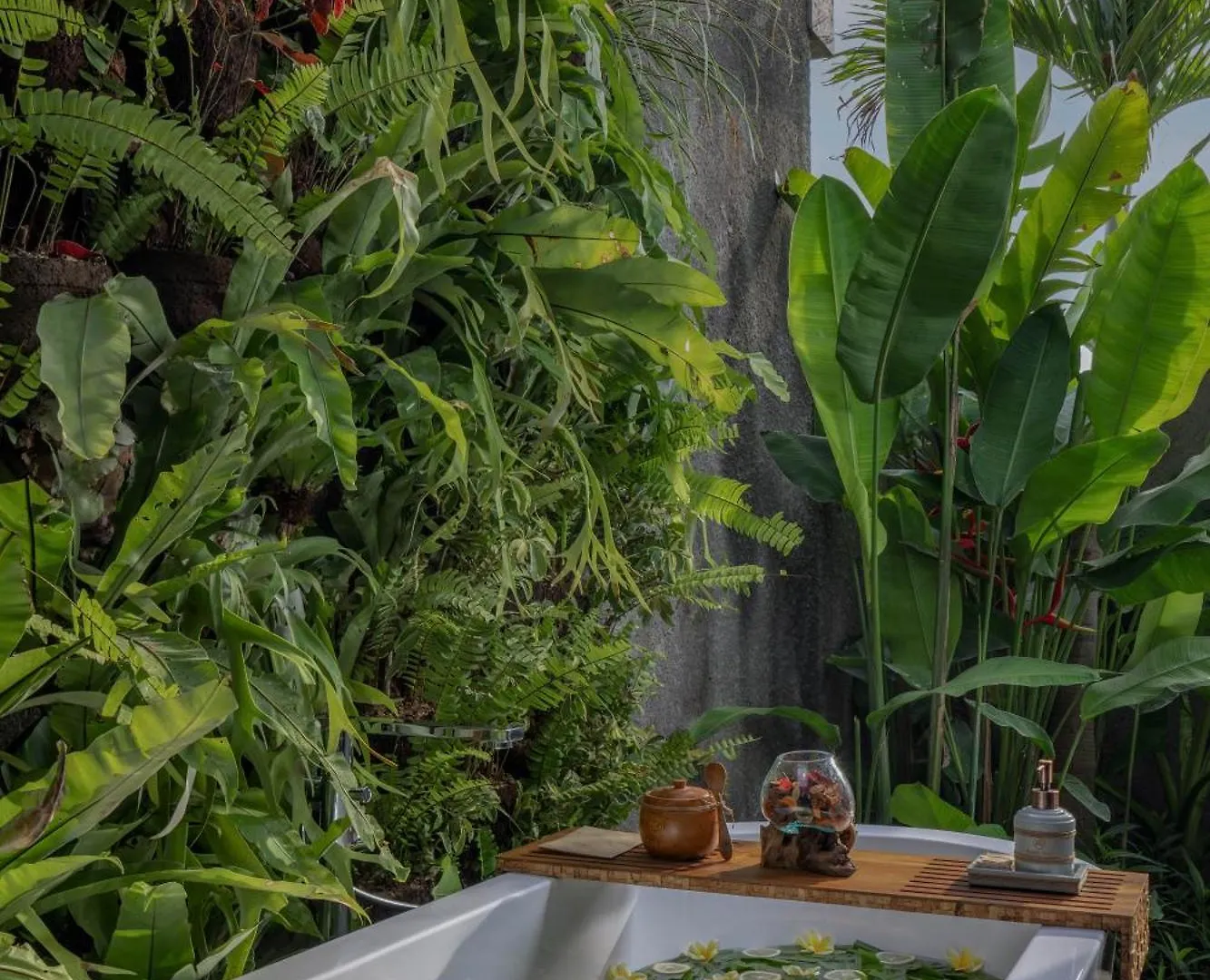 Gdas Bali Health And Wellness Resort - Adult Only 乌布 5*,